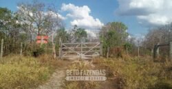 Fazenda à Venda 1.911 Hectares Aptidão para Plantio de Soja Porteira Fechada | Buritizeiro/MG