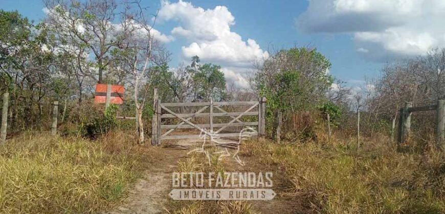 Fazenda à Venda 1.911 Hectares Aptidão para Plantio de Soja Porteira Fechada | Buritizeiro/MG