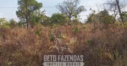 Fazenda à Venda 1.911 Hectares Aptidão para Plantio de Soja Porteira Fechada | Buritizeiro/MG