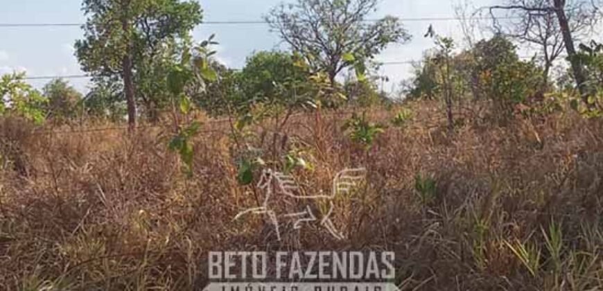 Fazenda à Venda 1.911 Hectares Aptidão para Plantio de Soja Porteira Fechada | Buritizeiro/MG