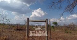Fazenda à Venda 1.911 Hectares Aptidão para Plantio de Soja Porteira Fechada | Buritizeiro/MG