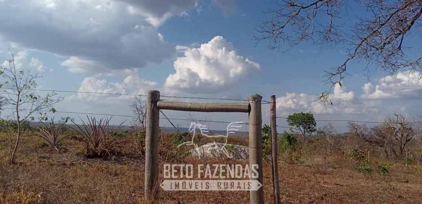 Fazenda à Venda 1.911 Hectares Aptidão para Plantio de Soja Porteira Fechada | Buritizeiro/MG