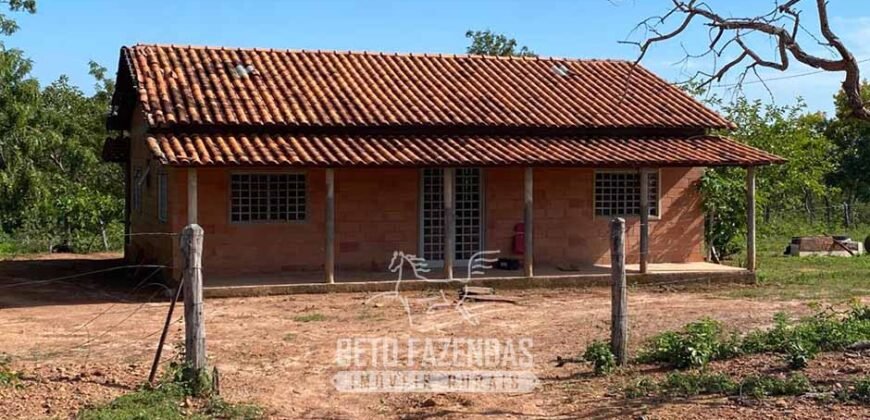 Fazenda à Venda 1.911 Hectares Aptidão para Plantio de Soja Porteira Fechada | Buritizeiro/MG