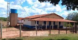 Fazenda à Venda 1.911 Hectares Aptidão para Plantio de Soja Porteira Fechada | Buritizeiro/MG