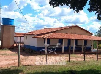 Fazenda à Venda 1.911 Hectares Aptidão para Plantio de Soja Porteira Fechada | Buritizeiro/MG