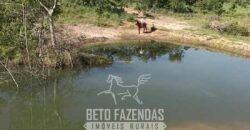 Fazenda à Venda 1.911 Hectares Aptidão para Plantio de Soja Porteira Fechada | Buritizeiro/MG