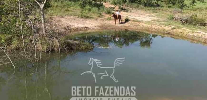 Fazenda à Venda 1.911 Hectares Aptidão para Plantio de Soja Porteira Fechada | Buritizeiro/MG