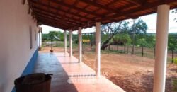 Fazenda à Venda 1.911 Hectares Aptidão para Plantio de Soja Porteira Fechada | Buritizeiro/MG