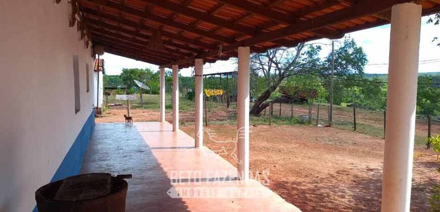 Fazenda à Venda 1.911 Hectares Aptidão para Plantio de Soja Porteira Fechada | Buritizeiro/MG