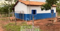 Fazenda à Venda 1.911 Hectares Aptidão para Plantio de Soja Porteira Fechada | Buritizeiro/MG