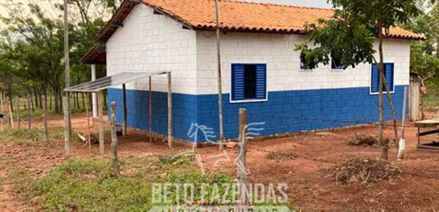 Fazenda à Venda 1.911 Hectares Aptidão para Plantio de Soja Porteira Fechada | Buritizeiro/MG