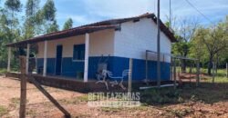 Fazenda à Venda 1.911 Hectares Aptidão para Plantio de Soja Porteira Fechada | Buritizeiro/MG