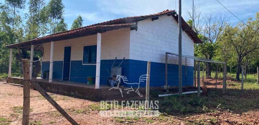 Fazenda à Venda 1.911 Hectares Aptidão para Plantio de Soja Porteira Fechada | Buritizeiro/MG