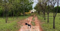 Fazenda à Venda 1.911 Hectares Aptidão para Plantio de Soja Porteira Fechada | Buritizeiro/MG