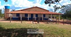 Fazenda à Venda 1.911 Hectares Aptidão para Plantio de Soja Porteira Fechada | Buritizeiro/MG