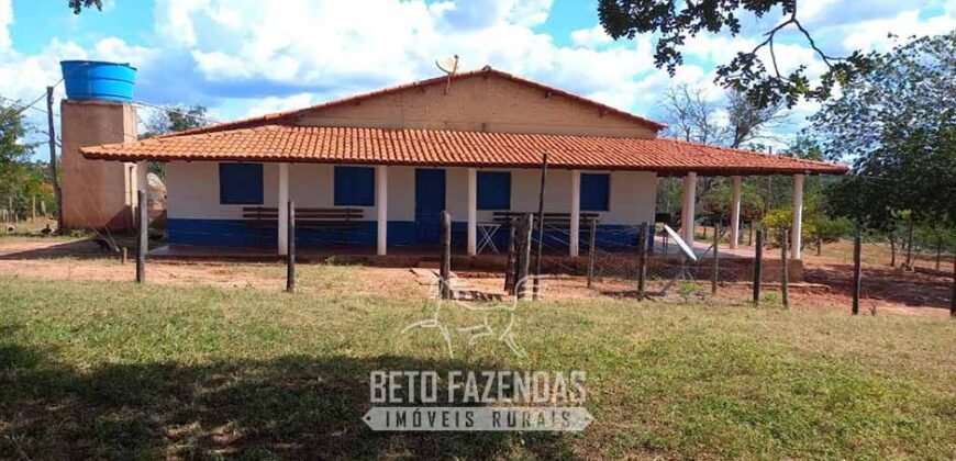 Fazenda à Venda 1.911 Hectares Aptidão para Plantio de Soja Porteira Fechada | Buritizeiro/MG
