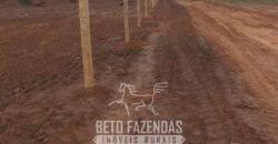 Fazenda à Venda 1.911 Hectares Aptidão para Plantio de Soja Porteira Fechada | Buritizeiro/MG