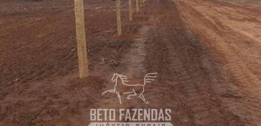 Fazenda à Venda 1.911 Hectares Aptidão para Plantio de Soja Porteira Fechada | Buritizeiro/MG