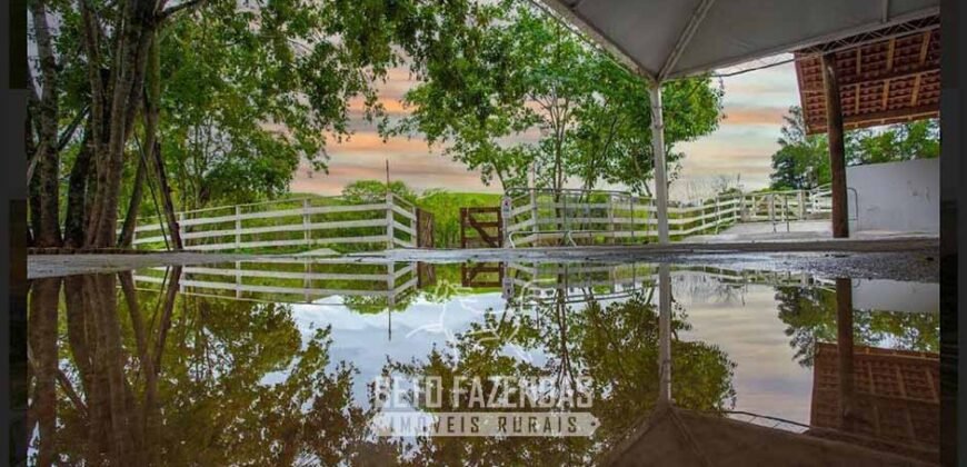 Haras à Venda 2 Alqueires com Centro de Eventos Potencial Turismo e Lazer | Ouro Fino / MG