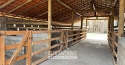 Haras à Venda 2 Alqueires com Centro de Eventos Potencial Turismo e Lazer | Ouro Fino / MG