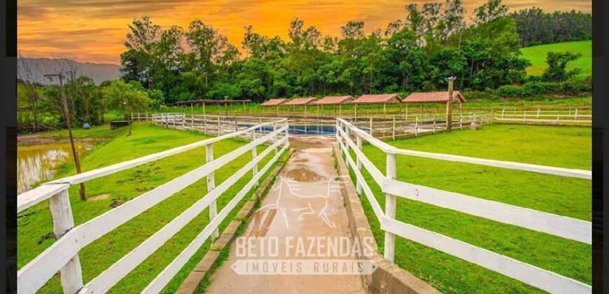 Haras à Venda 2 Alqueires com Centro de Eventos Potencial Turismo e Lazer | Ouro Fino / MG