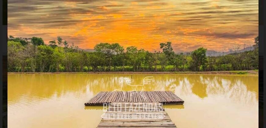 Haras à Venda 2 Alqueires com Centro de Eventos Potencial Turismo e Lazer | Ouro Fino / MG