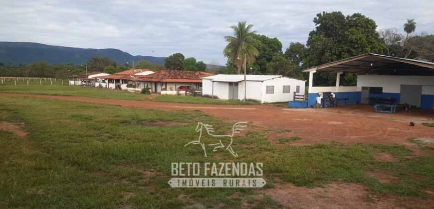 Fazenda à Venda  4.849 Hectares Dupla Aptidão Pecuária Elite | Formosa/ GO