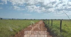 Fazenda à Venda  4.849 Hectares Dupla Aptidão Pecuária Elite | Formosa/ GO