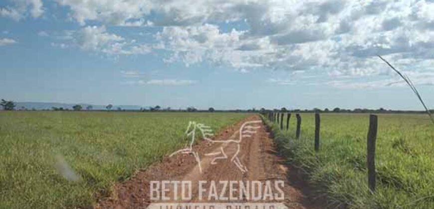 Fazenda à Venda  4.849 Hectares Dupla Aptidão Pecuária Elite | Formosa/ GO