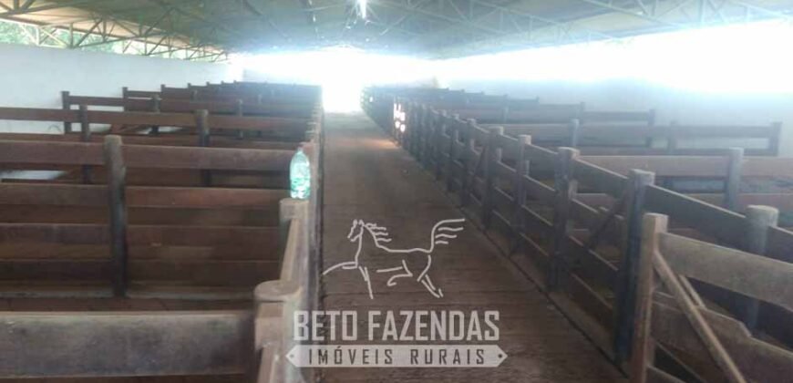 Fazenda à Venda  4.849 Hectares Dupla Aptidão Pecuária Elite | Formosa/ GO