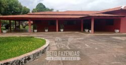 Fazenda à Venda  4.849 Hectares Dupla Aptidão Pecuária Elite | Formosa/ GO