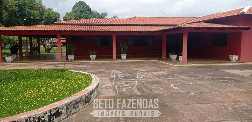 Fazenda à Venda  4.849 Hectares Dupla Aptidão Pecuária Elite | Formosa/ GO