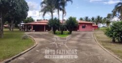 Fazenda à Venda  4.849 Hectares Dupla Aptidão Pecuária Elite | Formosa/ GO
