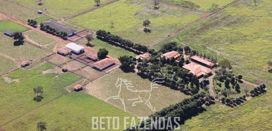 Fazenda à Venda  4.849 Hectares Dupla Aptidão Pecuária Elite | Formosa/ GO