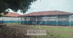 Fazenda à Venda  4.849 Hectares Dupla Aptidão Pecuária Elite | Formosa/ GO