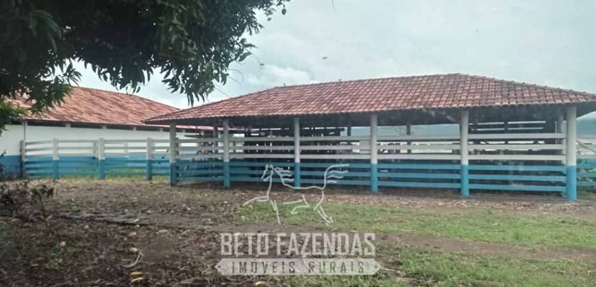 Fazenda à Venda  4.849 Hectares Dupla Aptidão Pecuária Elite | Formosa/ GO