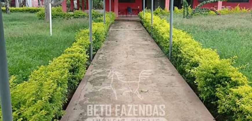 Fazenda à Venda  4.849 Hectares Dupla Aptidão Pecuária Elite | Formosa/ GO