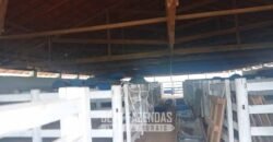 Fazenda à Venda  4.849 Hectares Dupla Aptidão Pecuária Elite | Formosa/ GO