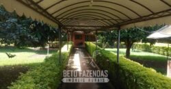 Fazenda à Venda  4.849 Hectares Dupla Aptidão Pecuária Elite | Formosa/ GO