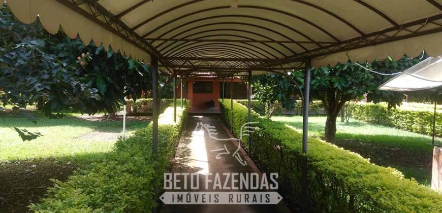 Fazenda à Venda  4.849 Hectares Dupla Aptidão Pecuária Elite | Formosa/ GO