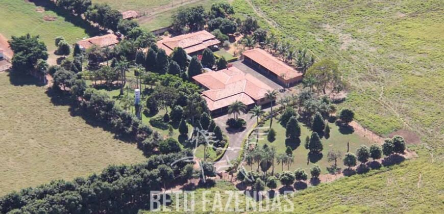 Fazenda à Venda  4.849 Hectares Dupla Aptidão Pecuária Elite | Formosa/ GO