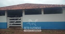 Fazenda à Venda  4.849 Hectares Dupla Aptidão Pecuária Elite | Formosa/ GO