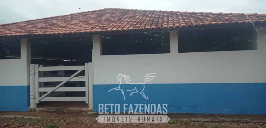 Fazenda à Venda  4.849 Hectares Dupla Aptidão Pecuária Elite | Formosa/ GO