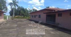 Fazenda à Venda  4.849 Hectares Dupla Aptidão Pecuária Elite | Formosa/ GO