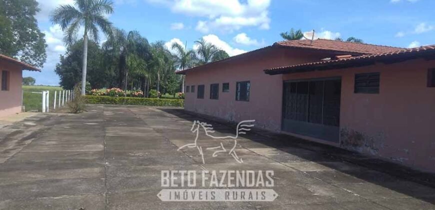 Fazenda à Venda  4.849 Hectares Dupla Aptidão Pecuária Elite | Formosa/ GO