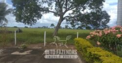 Fazenda à Venda  4.849 Hectares Dupla Aptidão Pecuária Elite | Formosa/ GO