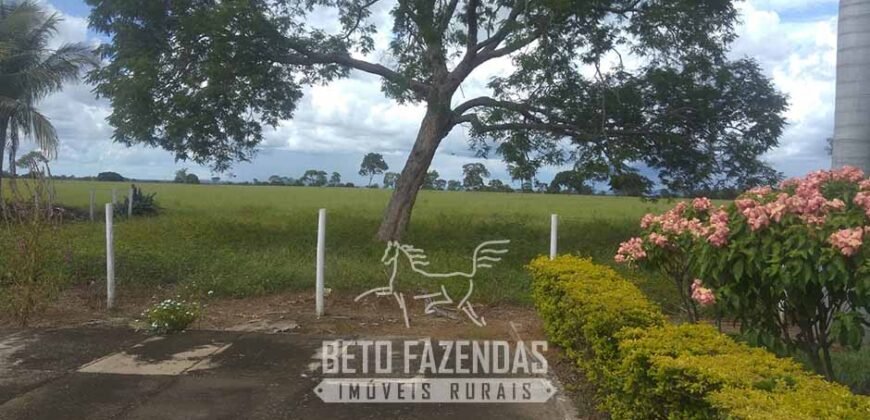 Fazenda à Venda  4.849 Hectares Dupla Aptidão Pecuária Elite | Formosa/ GO