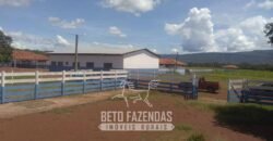 Fazenda à Venda  4.849 Hectares Dupla Aptidão Pecuária Elite | Formosa/ GO