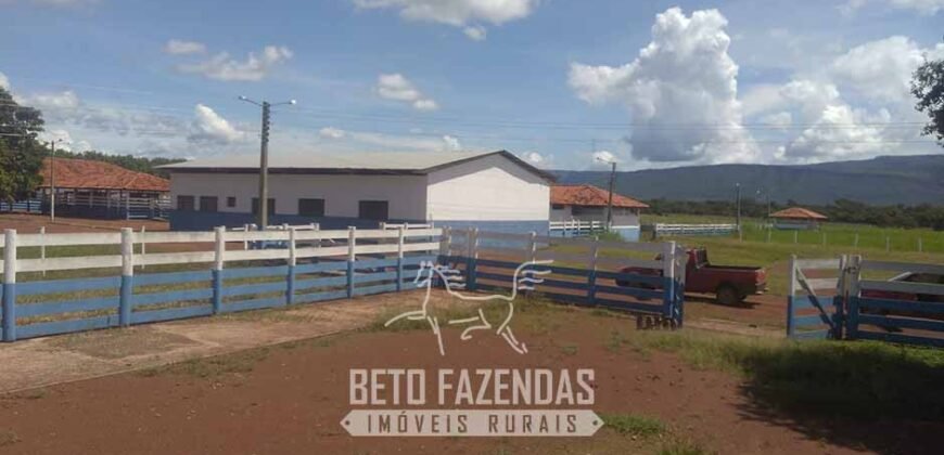 Fazenda à Venda  4.849 Hectares Dupla Aptidão Pecuária Elite | Formosa/ GO