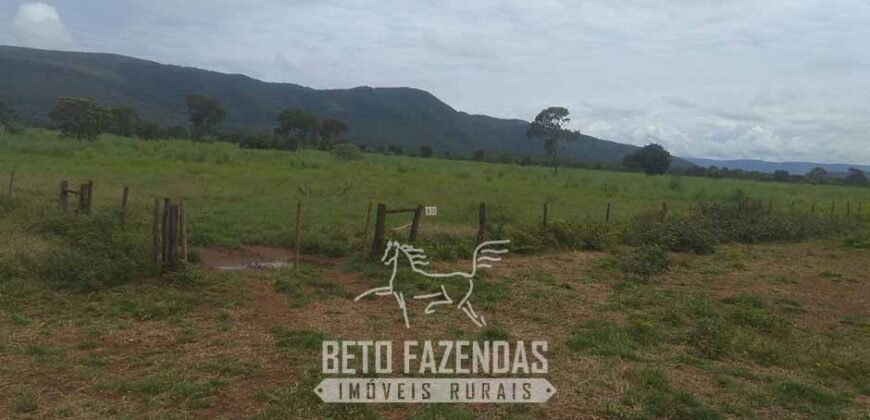 Fazenda à Venda  4.849 Hectares Dupla Aptidão Pecuária Elite | Formosa/ GO